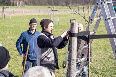 Obstbaumschnittkurs 2024