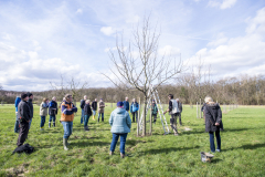 Obstbaumschnittkurs 2024