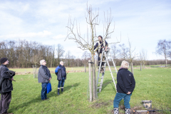 Obstbaumschnittkurs 2024