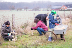 Schafwolle gegen Wildverbiss