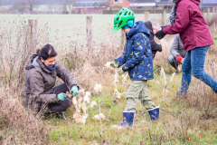Schafwolle gegen Wildverbiss