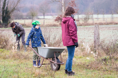 Schafwolle gegen Wildverbiss