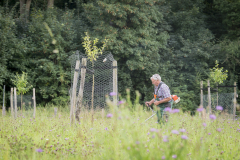 Viele Hände, schnelles Ende!