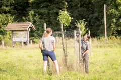 Viele Hände, schnelles Ende!