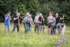 Viele Hände, schnelles Ende!