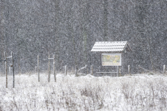 Winter Januar/Februar 2025