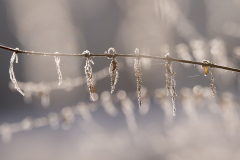 Winter Januar/Februar 2025