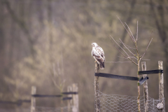 Winter Januar/Februar 2025