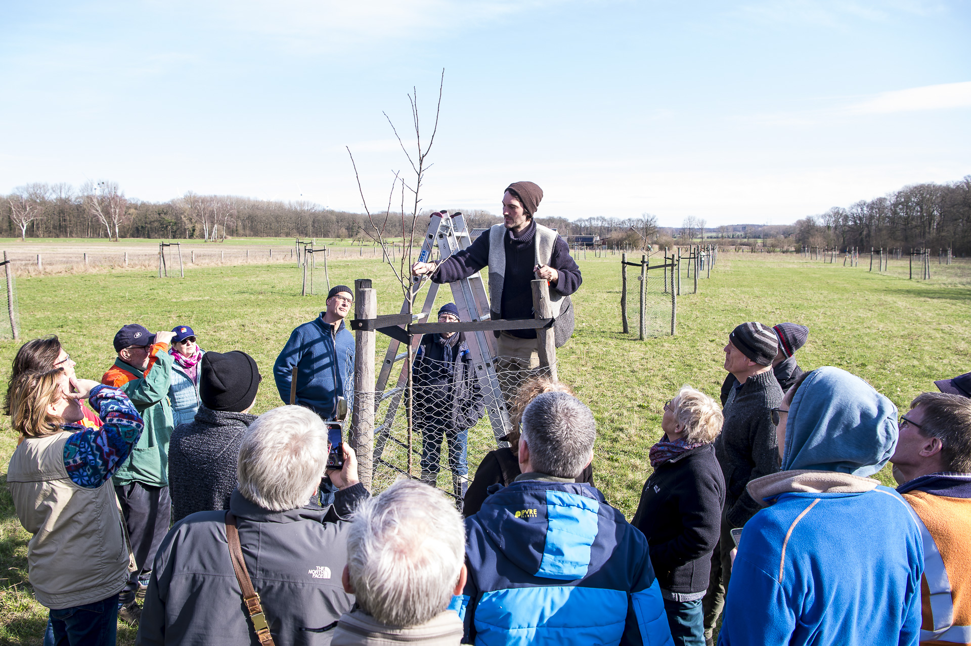 Obstbaumpfleger in Aktion