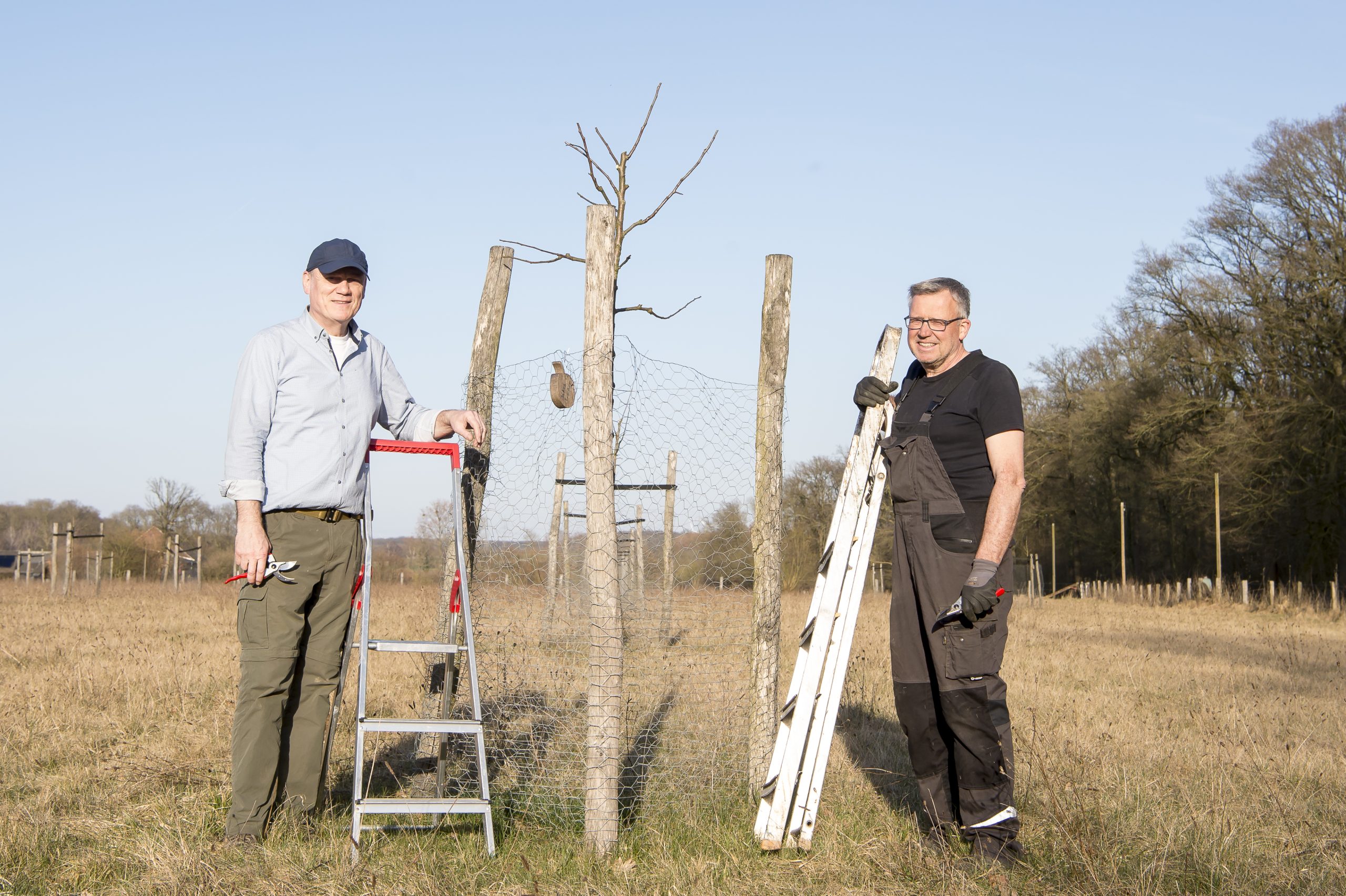 Jährlicher Pflegeschnitt